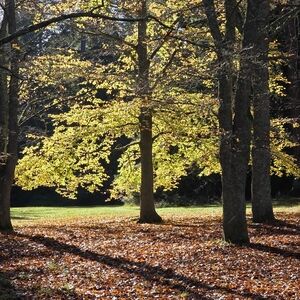 Meet your Posher, Lora